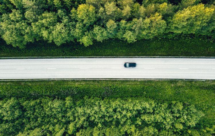 A car driving down a street surrounded by a lush forest