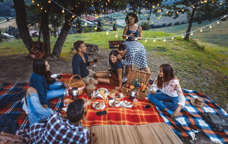 A picnic happening on a scenic overlook