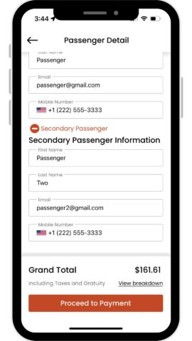 Secondary Passenger Information Screen