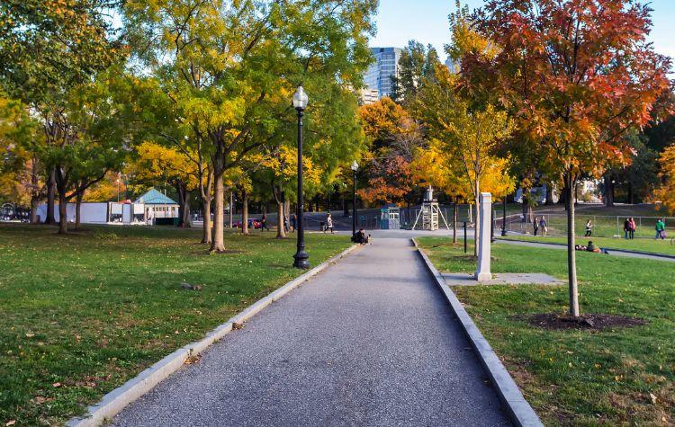 Walking trail in Boston Common in the fall